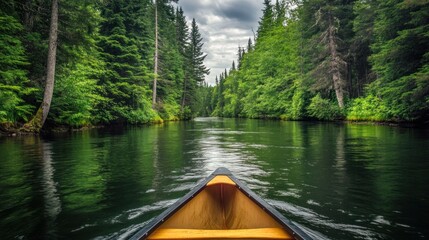 Canoeing through Emerald Waters: A Serene River Journey Amidst Forest Majesty