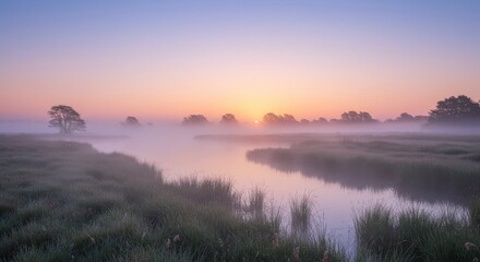 Serene sunrise over misty wetlands with soft light reflecting on water