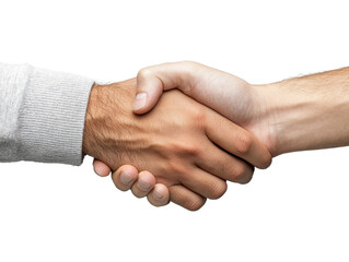 Handshake, white isolate background