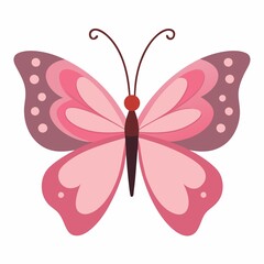 butterfly on white background