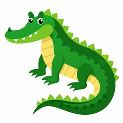 crocodile with a smile isolated on white background