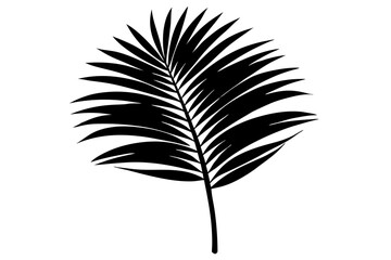 Palm Leaf Silhouette | Tropical Botanical Vector Illustration

