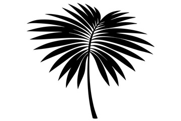 Palm Leaf Silhouette | Tropical Botanical Vector Illustration

