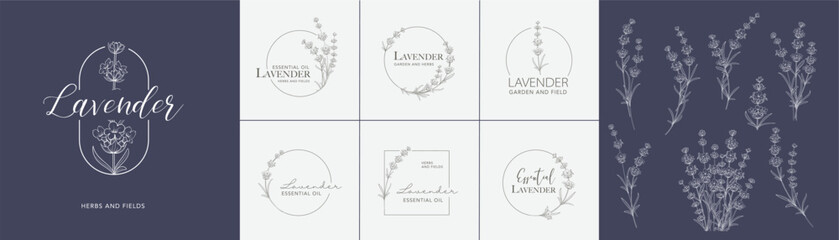 Lavender flower vector logo set . Floral design label