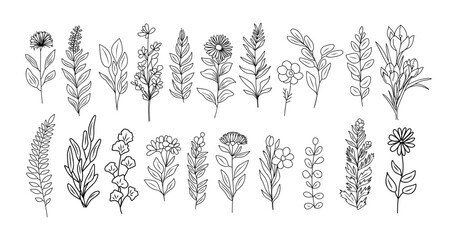 Set of tiny wild flowers and plants line art botanical illustrations. Trendy greenery hand drawn black ink sketches collection. Vector design elements isolated © Creative_Juice_Art