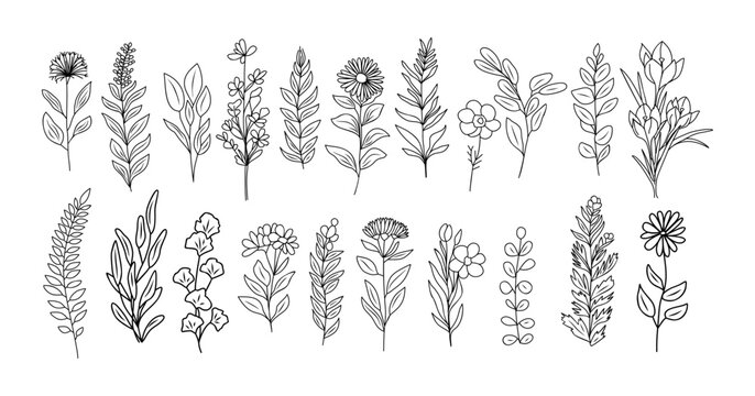 Set of tiny wild flowers and plants line art botanical illustrations. Trendy greenery hand drawn black ink sketches collection. Vector design elements isolated
