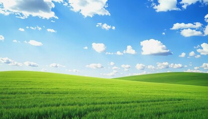 Obraz premium Vast green field under a bright blue sky with scattered clouds