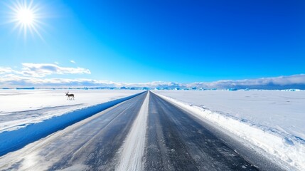 Obraz premium Snowy Road Under Bright Sunlight in Winter Landscape