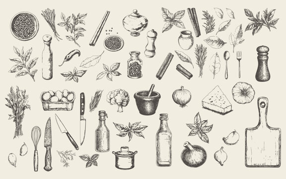 Elegant culinary sketch showcasing an array of fresh herbs and essential kitchen ingredients