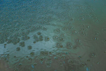 Raindrops create ripples on a blue-green water surface. Circular wave patterns form as drops hit,...