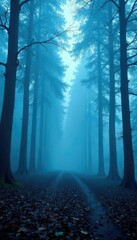Fototapeta premium Foggy forest scene with misty trees and blue frosty atmosphere, mysterious, eerie