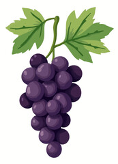 Fototapeta premium Cluster of Luscious Purple Grapes with Green Leaves
