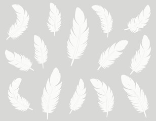 Falling white feathers on transparent background