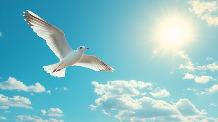 Fototapeta premium White seagull soaring in vibrant blue sky