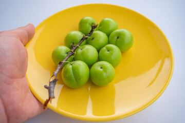 Fresh ripe green plums on yellow plate with branch on isolated white background surface. Hand holding plate