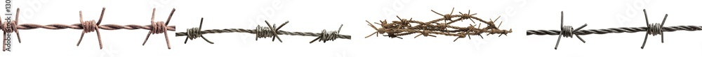 Poster a clipping path is included with the image of a wild dry liana, or jungle vine, isolated on a white 
