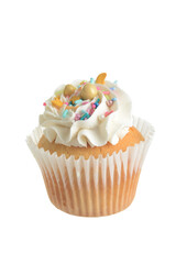vanilla buttercream cupcake with sprinkles