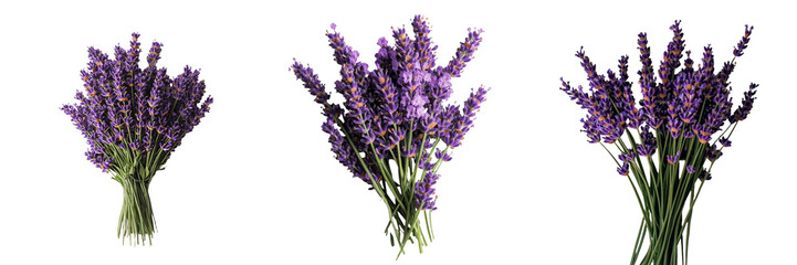 Obraz premium The image features a close-up of a bouquet of violet lavendula flowers, isolated against a white backdrop