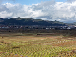 Palatinate Forest with the town of Maikammer and Hambach as well as vineyards in the foreground