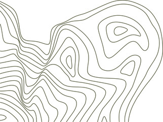 Topographic Line Corner 