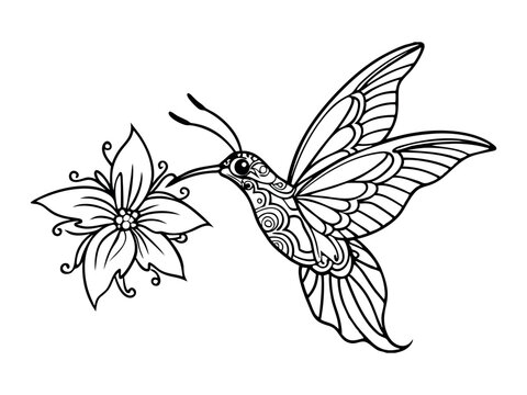 Hand drawn zentangle tribal flying butterfly, Hummingbird in hib