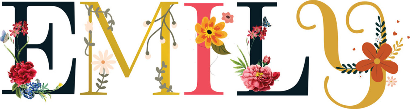 Emily Name Vector Typography With Emboidered