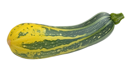 Fresh zucchini vibrant green and yellow stripes studio shot Healthy eating raw vegetable ingredient recipe-ready for diverse cuisine