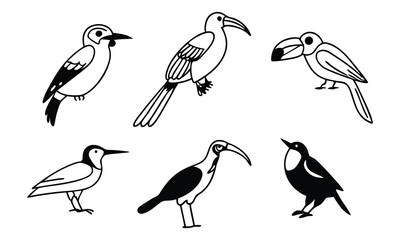 A collection of birds and a bird on a white background