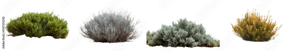 Poster a clipping path is included with the image of a tropical plant, which includes a flower, bush, and t
