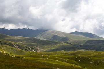 Fototapeta premium View of Tianshan Mountains in Kyrgyzstan