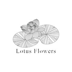 monoline vector illustration lotus flower sketch negative space.