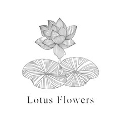 monoline vector illustration lotus flower sketch negative space.