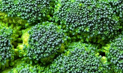 Healthy green organic broccoli florets ready to cook. Top view of scattered broccoli florets texture. Fresh green broccoli as background. Macro shot.