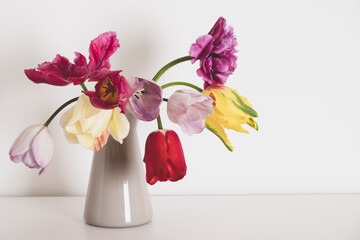 Beautiful bunch of multicolored terry tulip flowers in full bloom in vase against white background. Minimalist spring still life. Copy space for text.