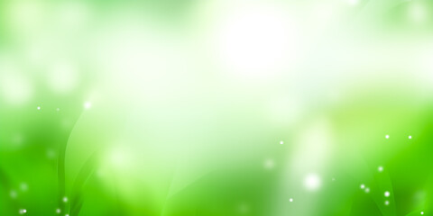 A serene green background with soft light, perfect for nature-inspired designs.