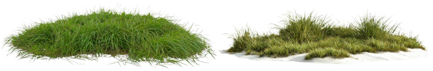 Obraz premium Banner format image of green grass isolated on white background