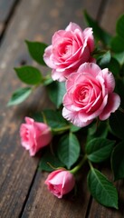 Close-up shot of delicate pink roses and green leaves on wooden surface, floral, vibrant