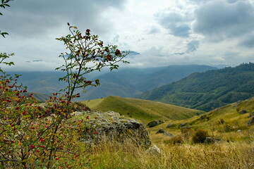 Russia. The Elbrus region. The high mountain peaks of the North Caucasus are shrouded in morning cumulus clouds at different levels of inaccessible cliffs.