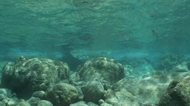 sun beams sun rays sun shine underwater nice light slow moving at the  bottom reflections relaxing ocean scenery 