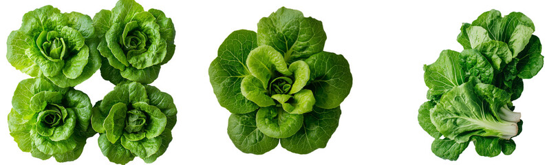 A salad is depicted with one lettuce leaf prominently displayed, isolated on a white background, and photographed with full depth of field