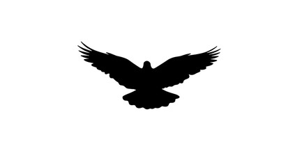 Silhouette of a soaring eagle with outstretched wings