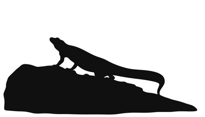 Lizard silhouette climbing on rock