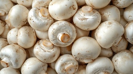 Close-up of many fresh white button mushrooms.