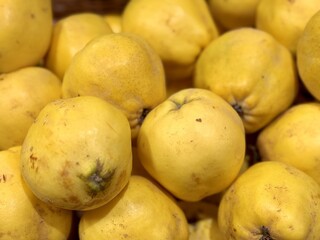 Ripe, fresh, yellow quinces in baskets on sale at the market in the grocery store, fruits and vegetables. Close-up