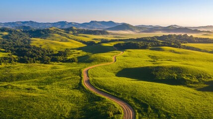 Aerial view of a rural dirt road cutting through patchwork farmland, vibrant green and yellow fields under clear blue skies