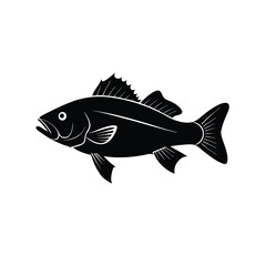 Sea Bass Silhouette Vector Art and Black Sea Bass Fish Design Illustration