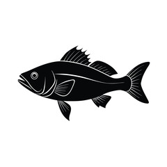 Sea Bass Silhouette Vector Art and Black Sea Bass Fish Design Illustration