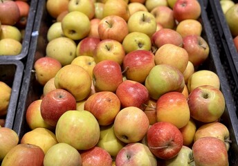 A mound of large red yellow coloured apples in boxes is displayed in the window of the supermarket's vegetable stand, demonstrating organic, vegetarian and healthy food. Close-up