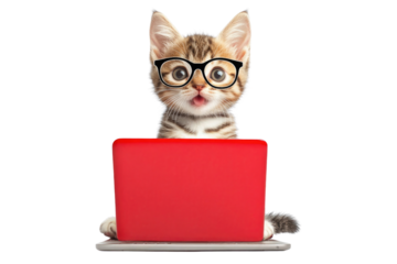 Cat with glasses works on a red laptop, showcasing curiosity and playfulness in a home setting,cut out 