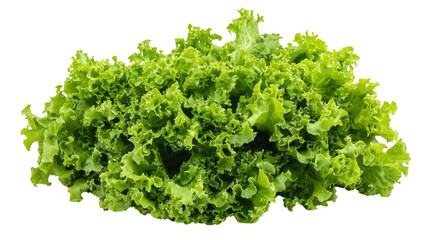 Fresh green lettuce pile ready for salads and healthy meals in a vibrant kitchen environment